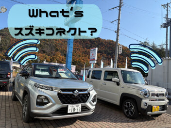 スズキコネクト、大活躍の季節